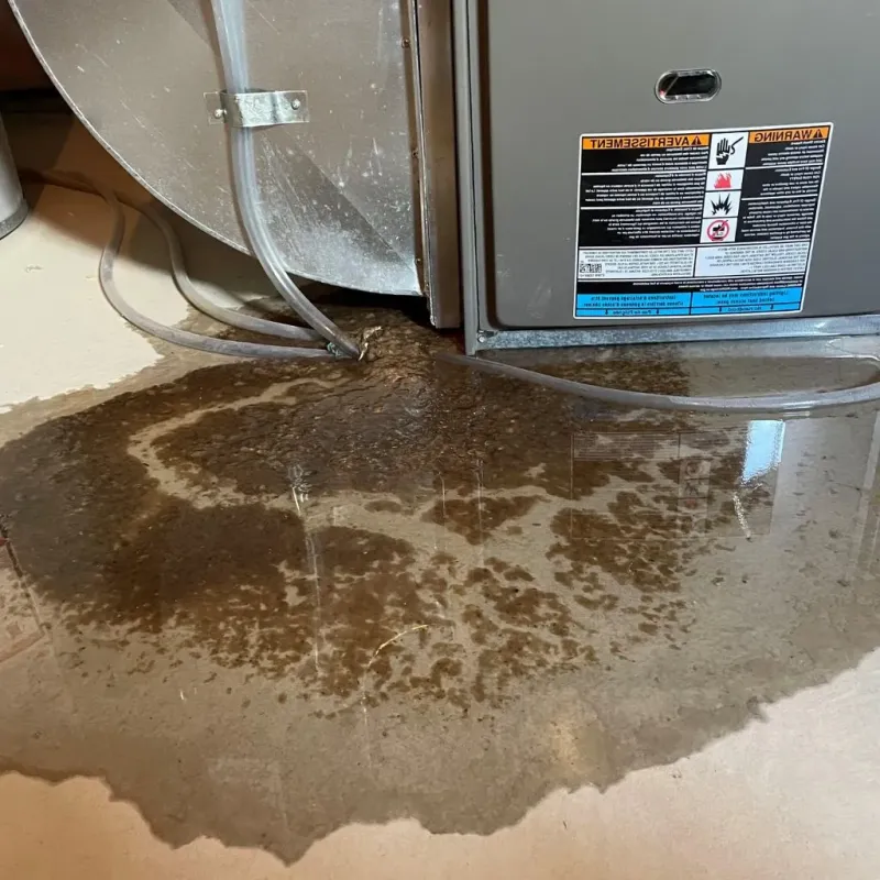 Pipe Burst and Leak Restoration in Huntingdon County, PA